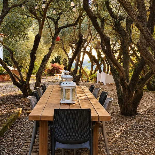 Tafel onder olijfbomen