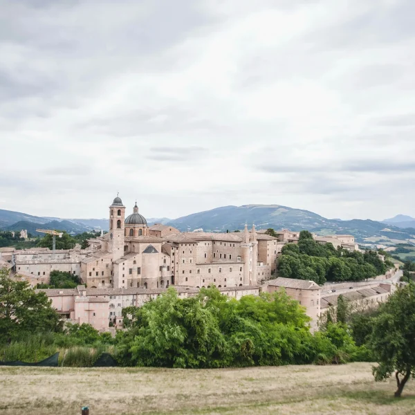 Urbino